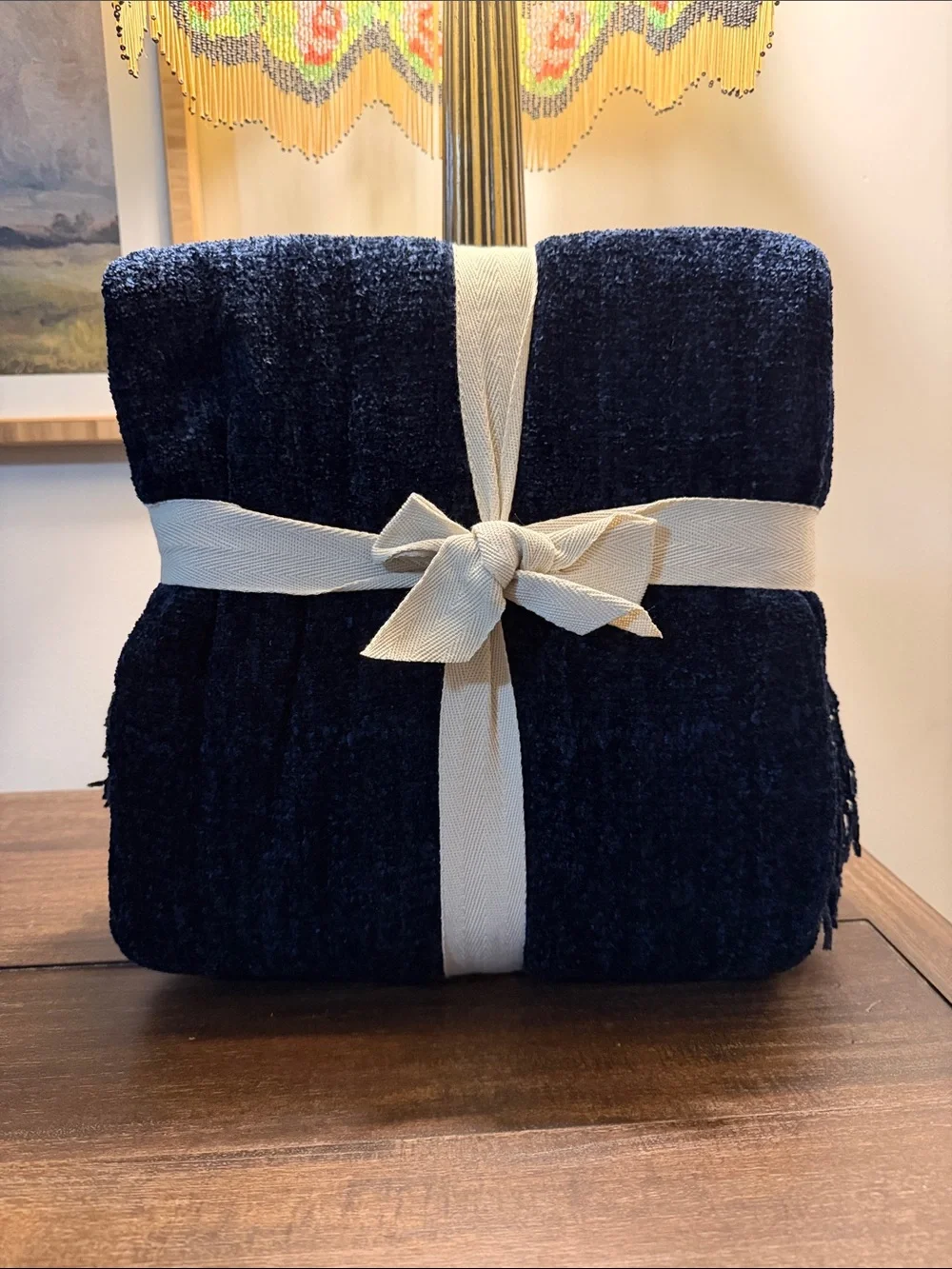 Pier 1 Navy Chenille Throw with Fringe
